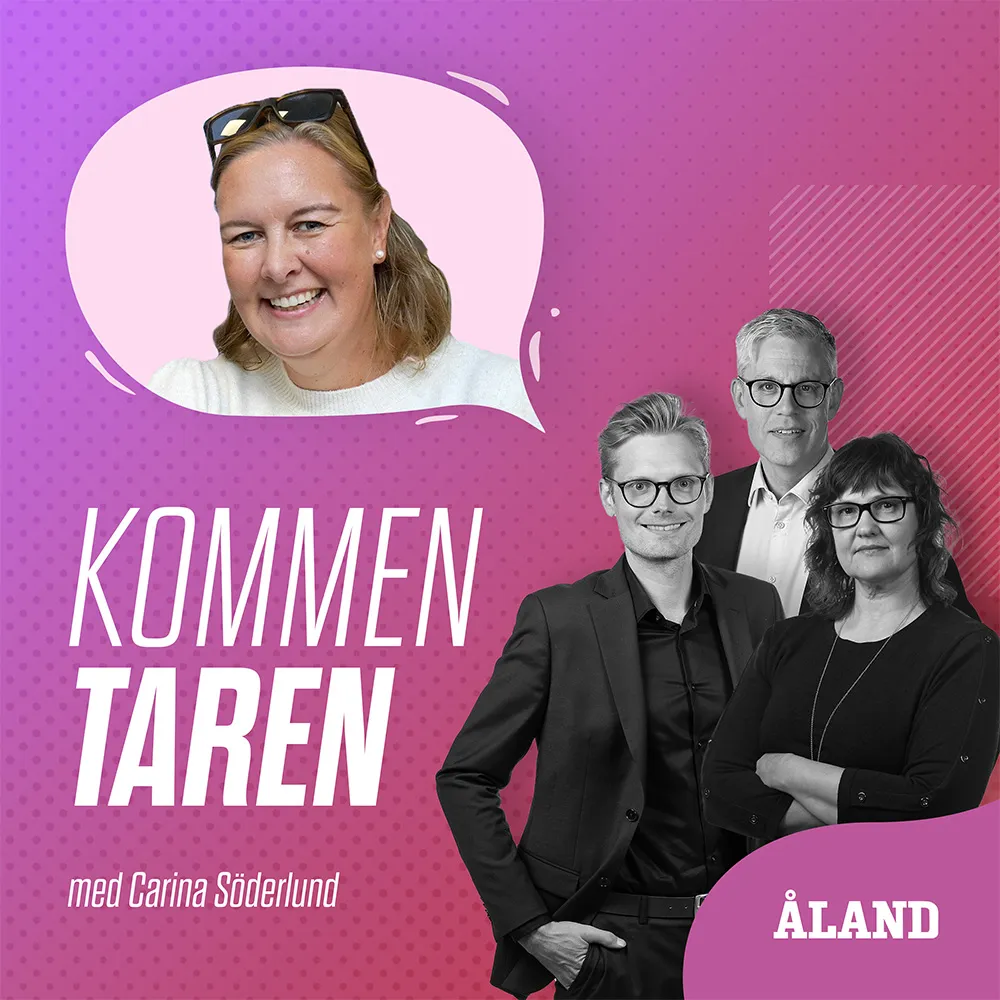 Avsnitt 13 av kommentaren